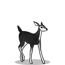 智慧企业打造的{固定网站名称23}